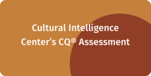 ConnectingCultures leverer kulturtræning og kurser i kulturforståelse, både som workshops, foredrag, keynotes, coaching samt e-læring