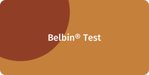 ConnectingCultures leverer kulturtræning og kurser i kulturforståelse, både som workshops, foredrag, keynotes, coaching samt e-læring