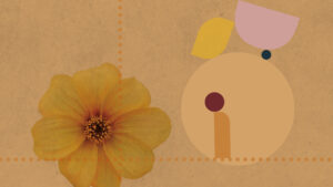 ConnectingCultures - kulturel intelligens. Virtuel og global rekruttering og onboarding. Diversitet og inklusion Country specific cultural training