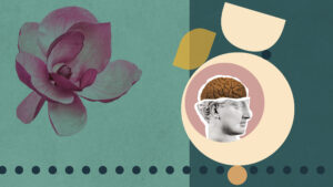 ConnectingCultures - kulturel intelligens