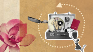 CQ - Cultural Circle Training, Connecting Cultures